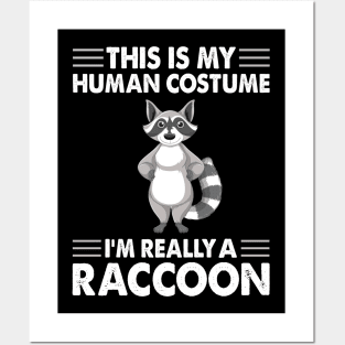 I am really a raccoon Posters and Art